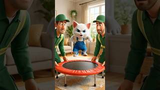 Levaram o trampolim do gatinho fofo 😱🛠️