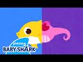 Have You Ever Seen Shark’s Tail? | Baby Shark Dance and Song | Baby Shark Official