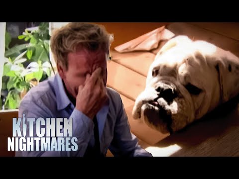 This Restaurant Sells... Fake Fish? | FULL EPISODES | Season 2 | Kitchen Nightmares