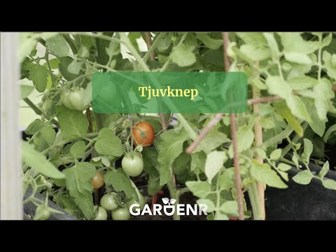 Thief Trick - Gardenhacks by GardenR