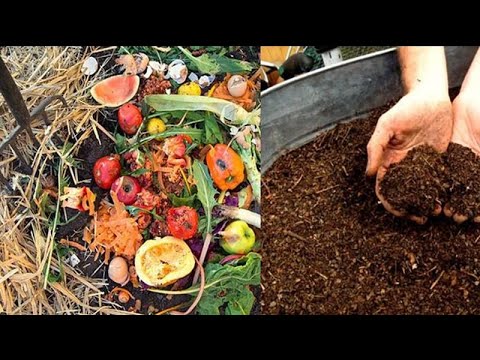 Claude Bourguignon explique c'est quoi le compostage