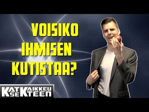 MUURAHAISEN MITTAINEN MIES