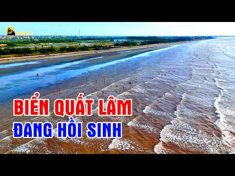 Quất Lâm beach is experiencing a revival after many years, but what's happening?
