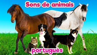 Animais para crianças - sons reais de animais - sons de animais