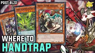 The Ultimate Meta Counter Guide + Where to Hand Trap for the Blazing Dominion (BLZD) Format