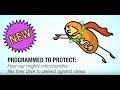 Mitochondria Flex DNA To Protect Against Stress