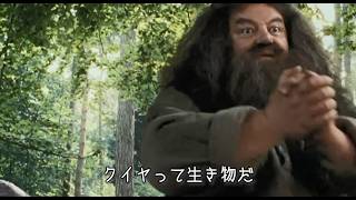 クイヤが魔法動物の世界線