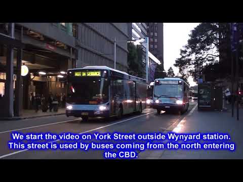 Sydney Buses in the  City
