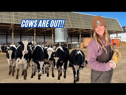 My Husband Left Me to Farm By Myself