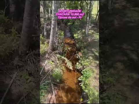 Chácara linda em Tijucas do Sul PR