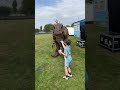 Naughty T Rex