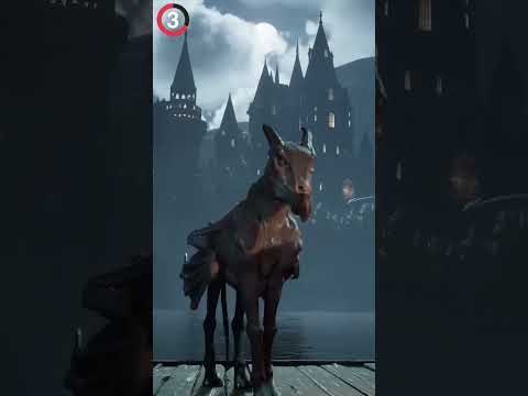 Hogwarts Legacy Has a HUGE SECRET..