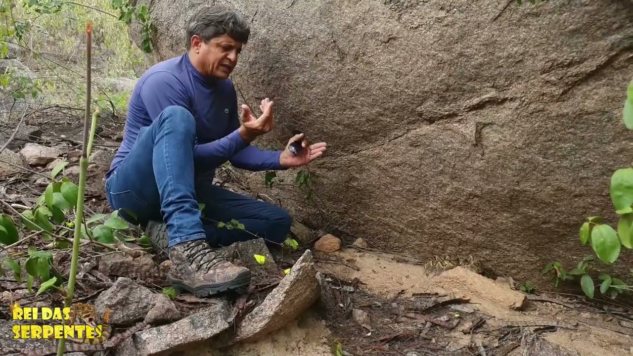 cascavel e seus botes certeiros