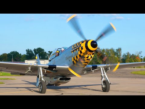 (4K) Warbirds Airshow 2023 | P-51, P-40, C-47 & More!