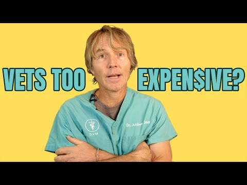 Veterinary Costs Now Too Expensive?