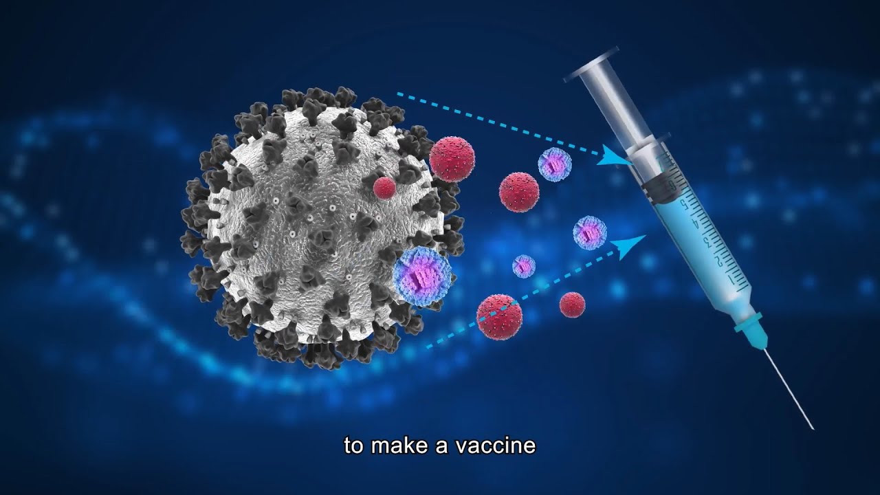 Episode 5: Inactivated COVID-19 vaccine