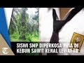 Siswi SMP Diperkosa Pria 38 Tahun Di Perkebunan Sawit Yang Kenal Lewat Facebook