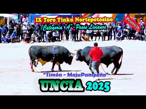 IX Toro Tinku Norte Potosino UNCIA 2025 Encuentro:"Timón-Maju Pampeño". (Video Oficial) de ALPRO BO.