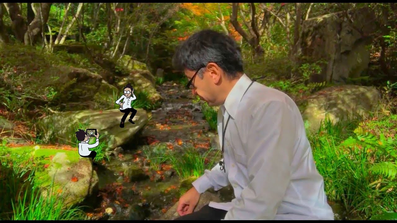 🍁ちょっと三景園で甘酒、んまい / Autumn walk in the Sankeien at the Hiroshima Airport area,Hot amazake is yummy.