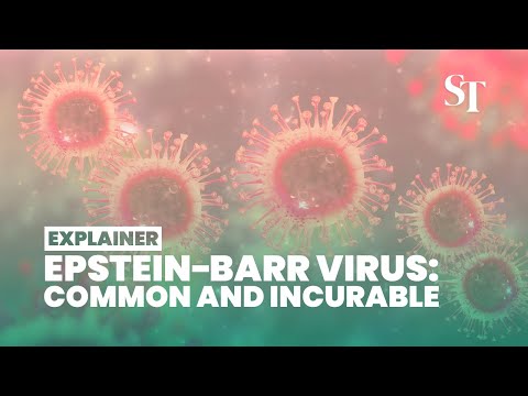 What is the Epstein-Barr virus? #ebv