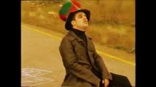 THE TROGGS, BLACK BOTTOM.                 (VIDEO CLIP FULL COLOR FILM)