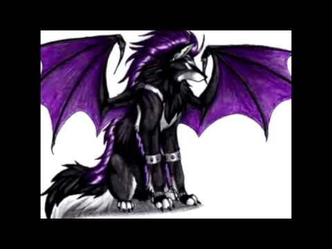 Anime wolves angel of darkness