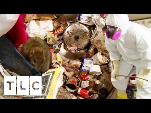 Rat Infested House Disgusts New Owners | Hoarding: Buried Alive