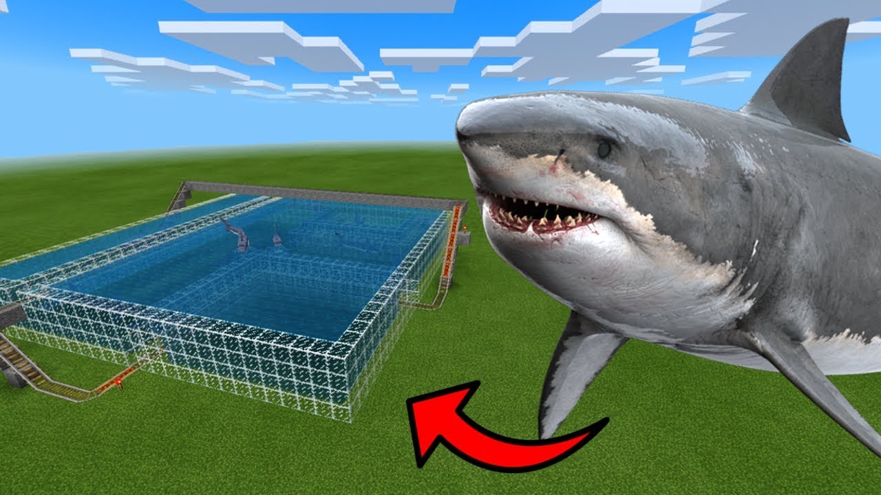 MCPE: How To Make a Shark Roller Coaster
