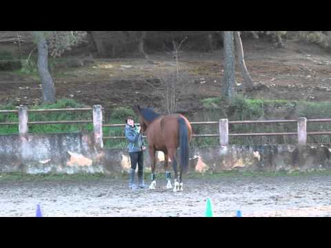 Univers, Catching game, 12/12/2015