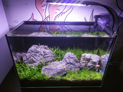 6. Suchy start. Czy warto ?