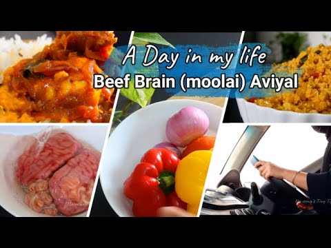 A DAY IN MY LIFE / WHAT I EAT IN A DAY/ Beef Brain (Moolai) Aviyal /Spicy Couscous/Srilankan Recipes