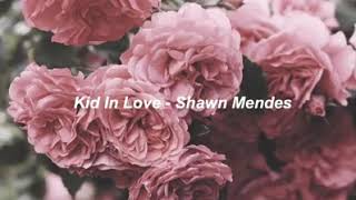 Shawn Mendes Kid In Love subtitulada al español