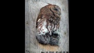 Athena's Nest House Hanging out with Mom is fun 7:42pm 4-15-2018