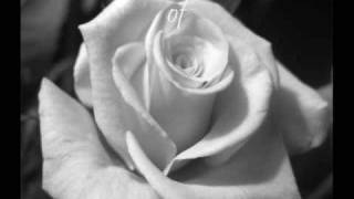 Rajaton - Love of my life +Lyrics