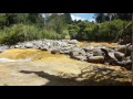Katikati Naturist Camp November 2016