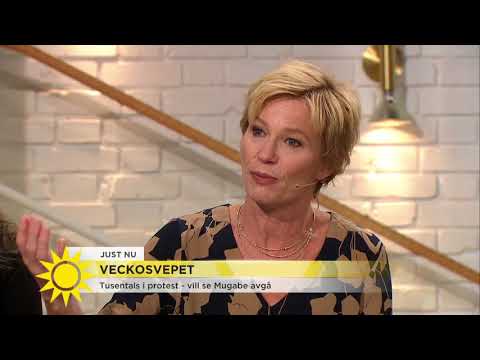 Tusentals i protest - vill se Mugabe avgå - Nyhetsmorgon (TV4)