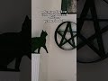 Black Cat Loves Pentagram Shelf 🖤