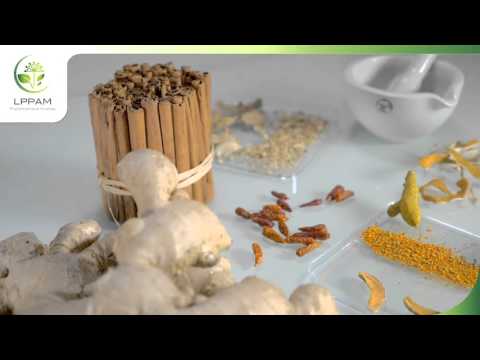 Lppam phytochemical analysis