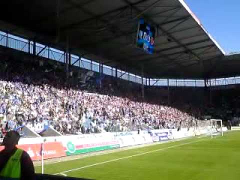 2,3,4 Chemie Schweine!!!!