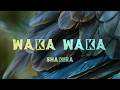 Shakira Waka Waka This Time For Africa