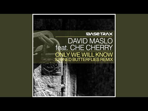 Only We Will Know (feat. Che Cherry) (Stoned Butterflies Attention Remix)