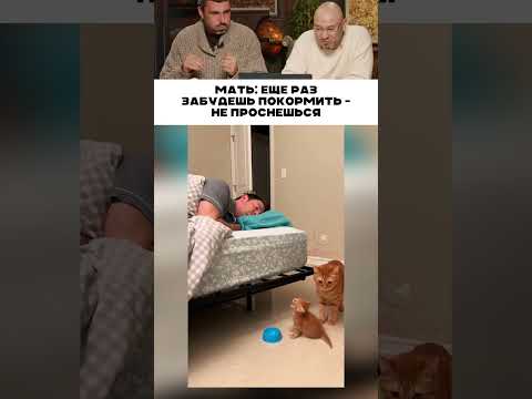 Еще раз забудешь покормить... 😹