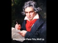 Ludwig van Beethoven - Allegretto for Piano Trio, WoO 39