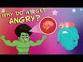 Why Do We Get Angry The Dr Binocs Show Best Learning Videos For Kids Peekaboo Kidz