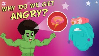 Why Do We Get Angry? | The Dr. Binocs Show | Best Learning Videos For Kids | Peekaboo Kidz