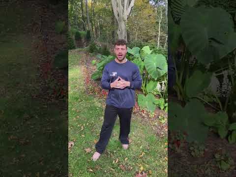 My Top Post work Out Snack