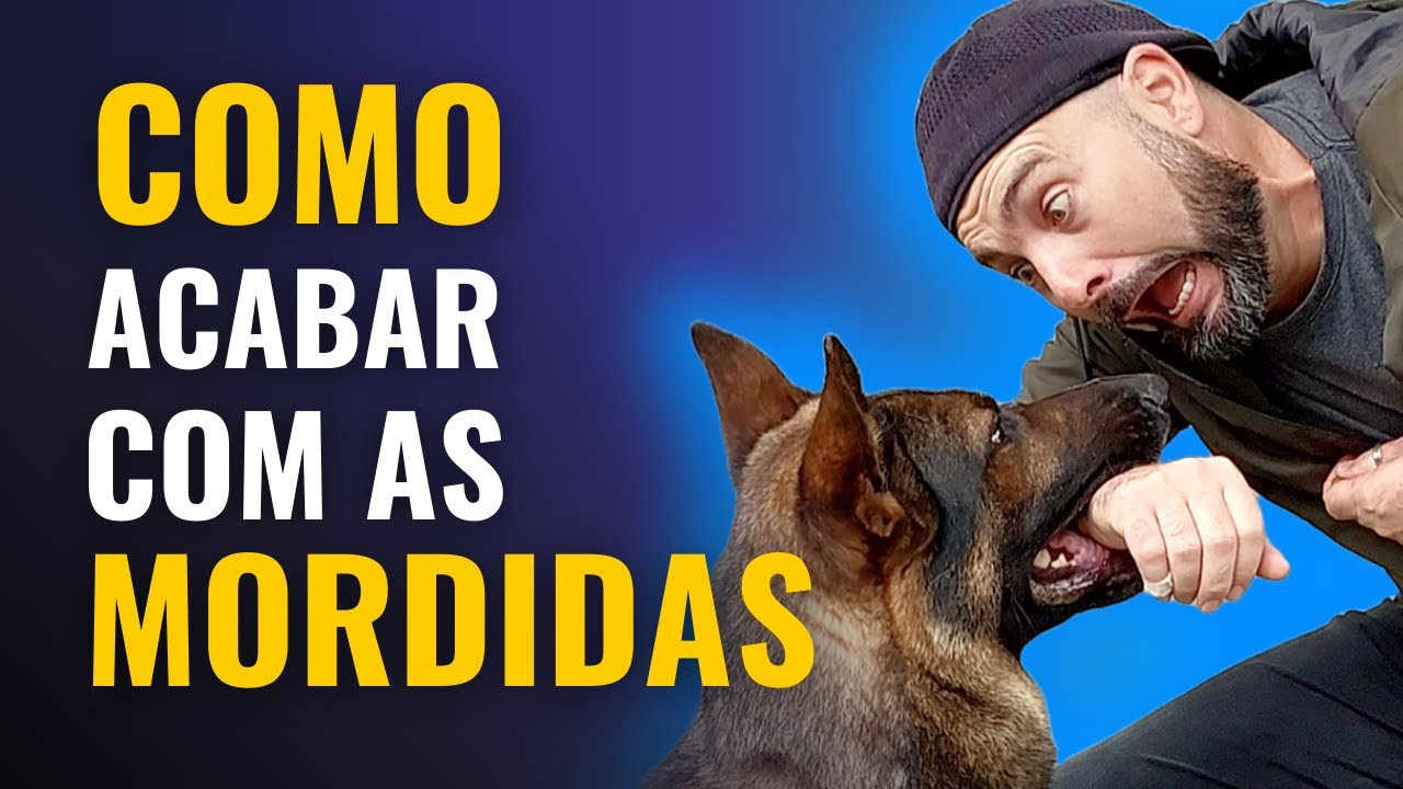 O FIM DAS MORDIDAS - APRENDA o que fazer para seu cachorro PARAR DE MORDER