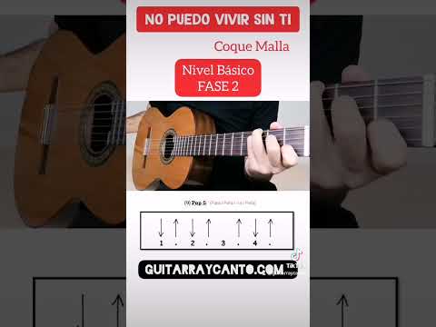 No Puedo Vivir Sin Tí - Migueli