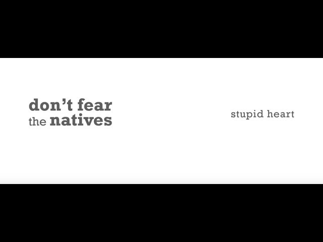 Stupid Heart - Don't Fear The Natives