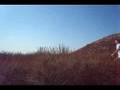 Brad Caleb Kane -- Out There (Music Video) 